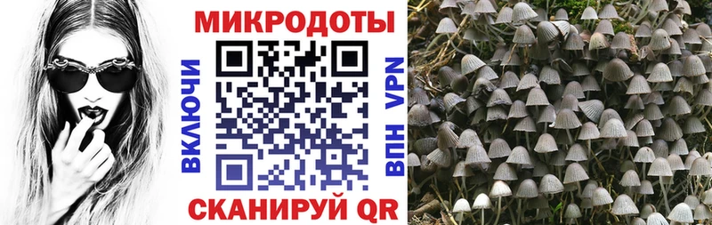 Псилоцибиновые грибы мицелий  Юрюзань 